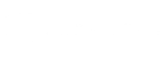Streamlight